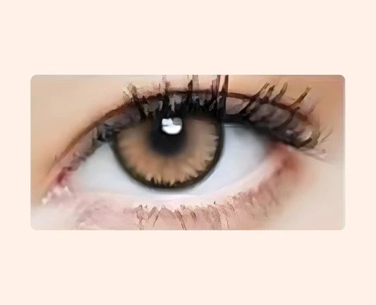 Eye Dia Partywear Snowy Brown