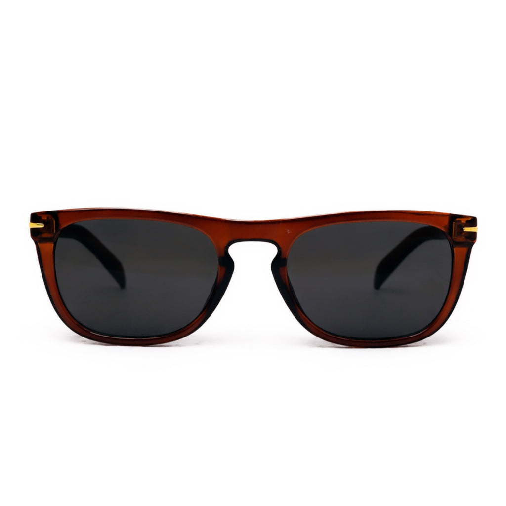 Transparent Brown Wayfarer Sunglasses with Gold Hinge for Women