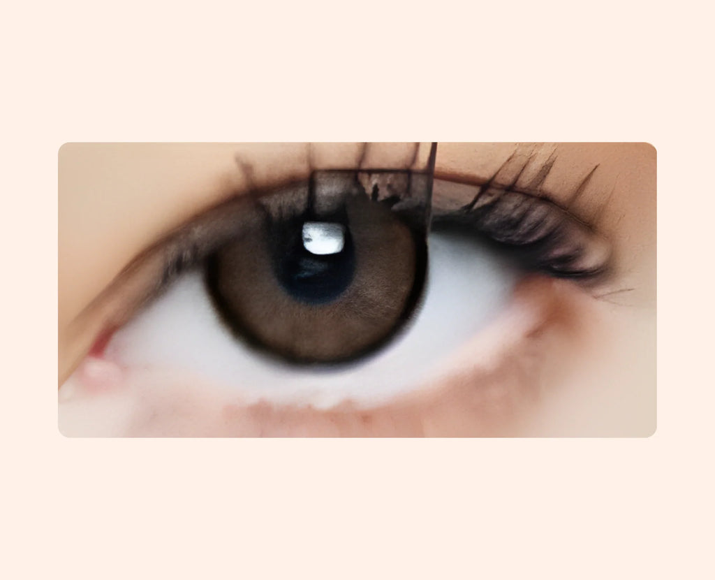 Eye Dia Conventional - Brown Shadow