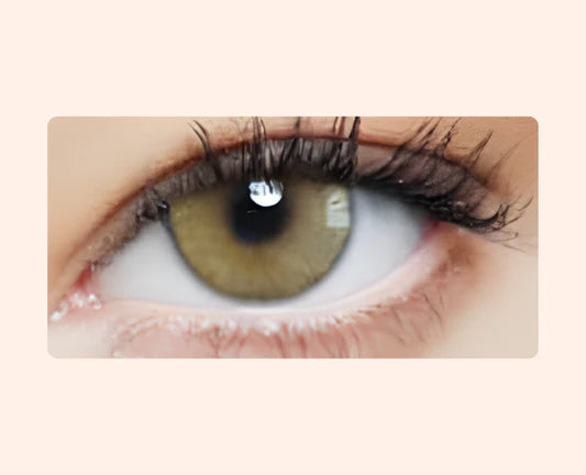 Eye Dia Conventional - Ocre