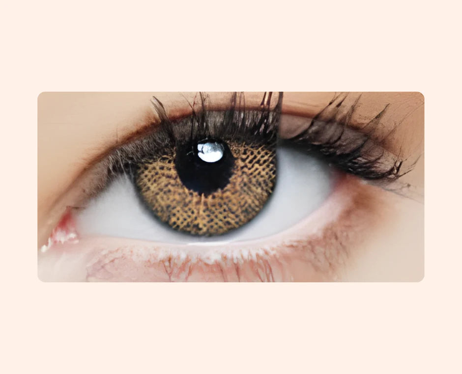 Eye Dia Conventional - Wild Honey
